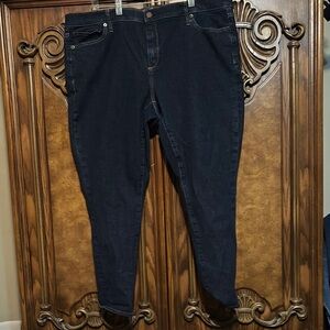 GAP Blue Skinny Jeans Classic Fit